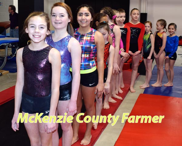 Gymnasts showcase skills at Frostbite Invite