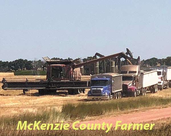 Local farmer is tickled for happy harvest season