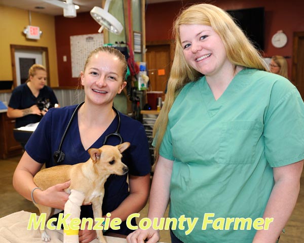 Watford City welcomes new veterinarians