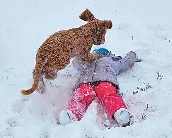 MCPSD1 utilizes first “snow day” of year