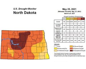 Week of rain brings relief to parched ground