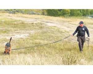 Badlands Search and Rescue hosts vital skills training in McKenzie County