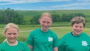 McKenzie County 4-H kids prepare for the McKenzie County Fair