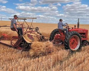 A humble mans passion aides in the preservation of McKenzie County’s heritage