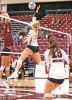 Wolves volleyball falls to Minot